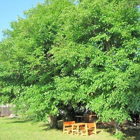 Bed and Breakfast Pod Orehi Постойна Экстерьер фото