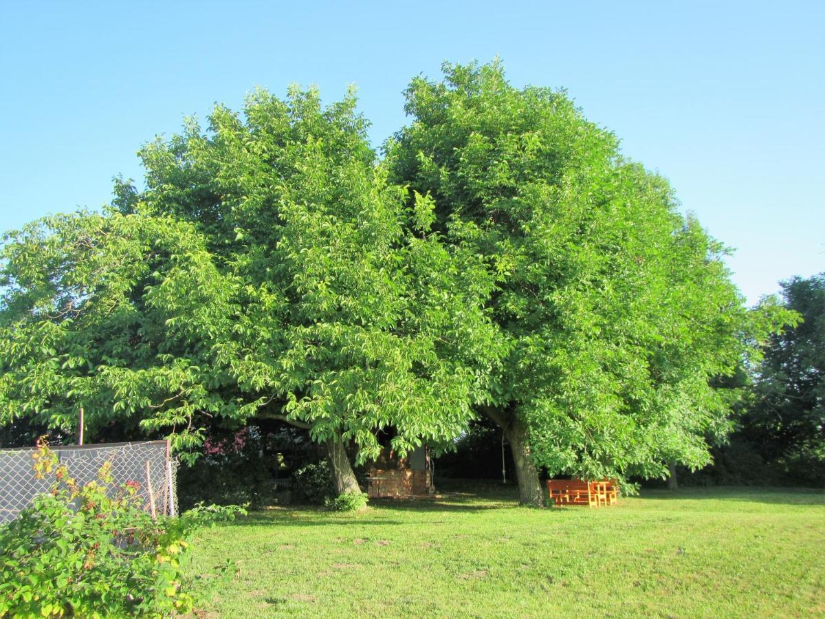 Bed and Breakfast Pod Orehi Постойна Экстерьер фото