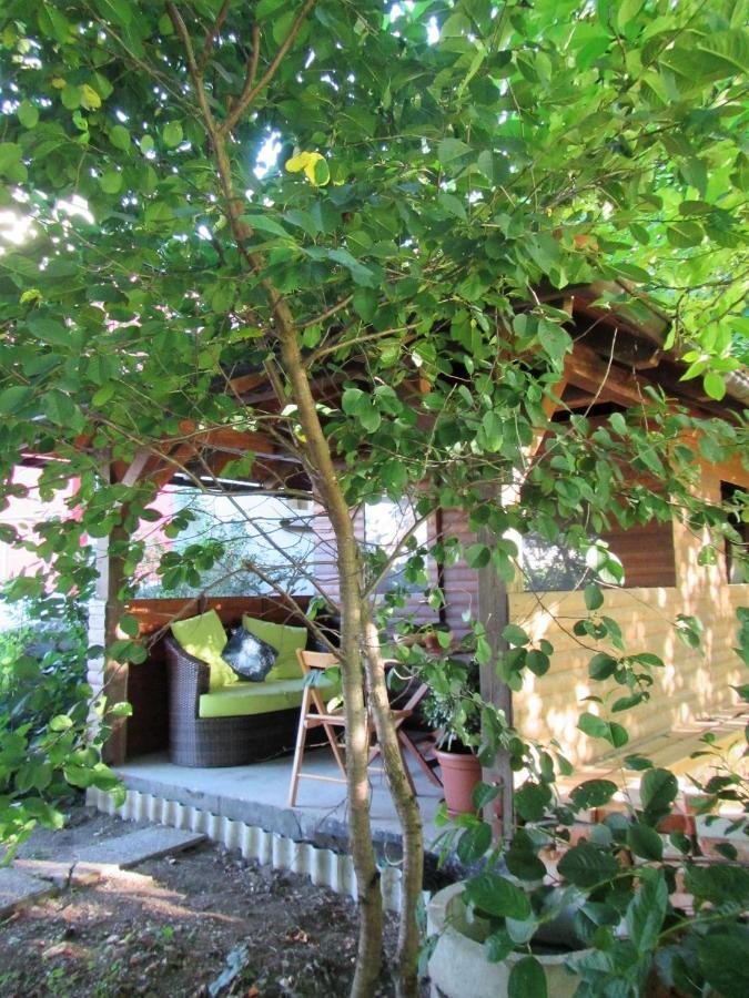 Bed and Breakfast Pod Orehi Постойна Экстерьер фото