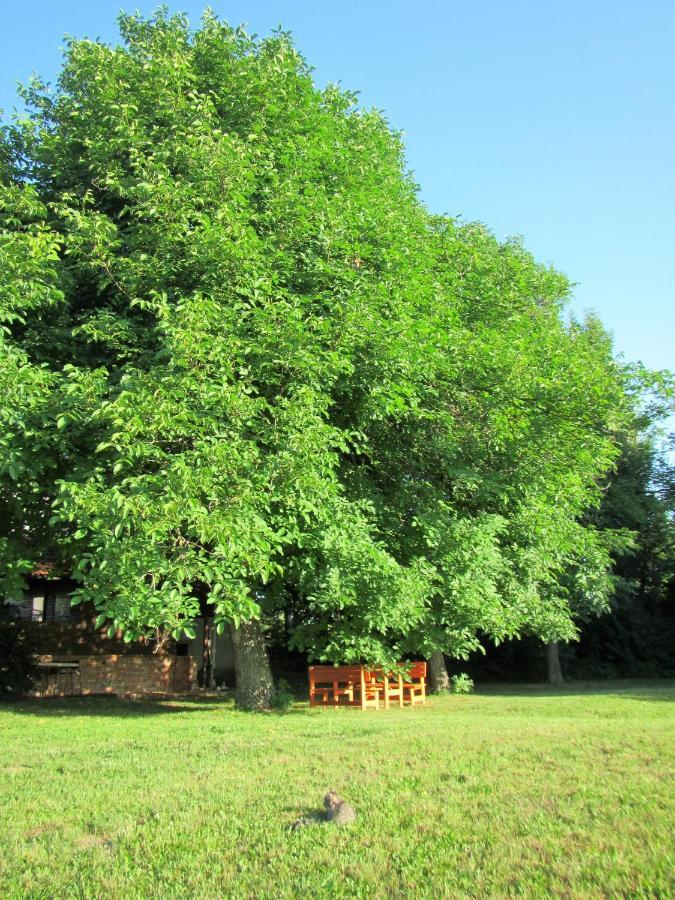Bed and Breakfast Pod Orehi Постойна Экстерьер фото